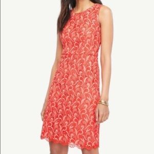 NWT Ann Taylor Lace Sheath Dress, 6P
